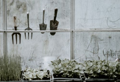 Winterizing Your Garden Tools: Maintaining a Well-Equipped Toolkit