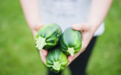 Incorporating Edible Landscaping into Your Yard