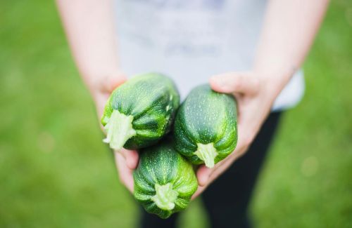 Incorporating Edible Landscaping into Your Yard